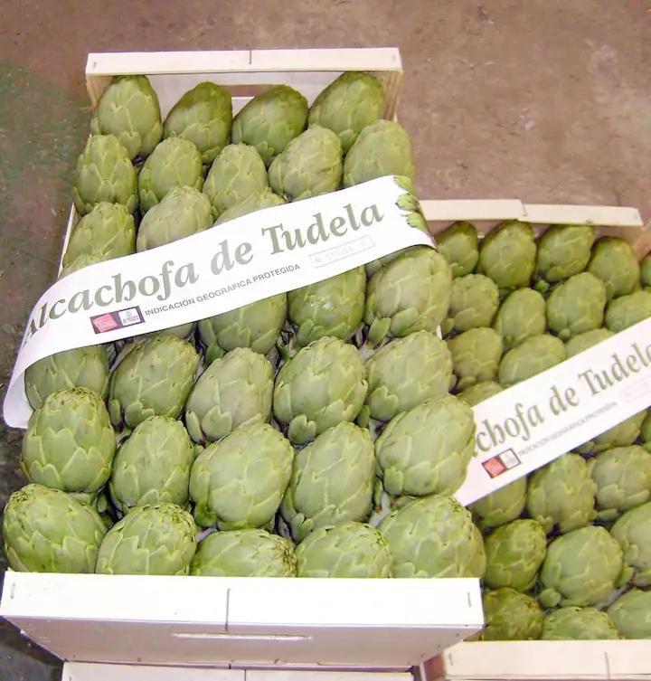 Mercadal Tudela Exterior foto